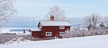 Senaste nytt