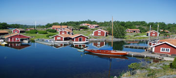 Senaste nytt